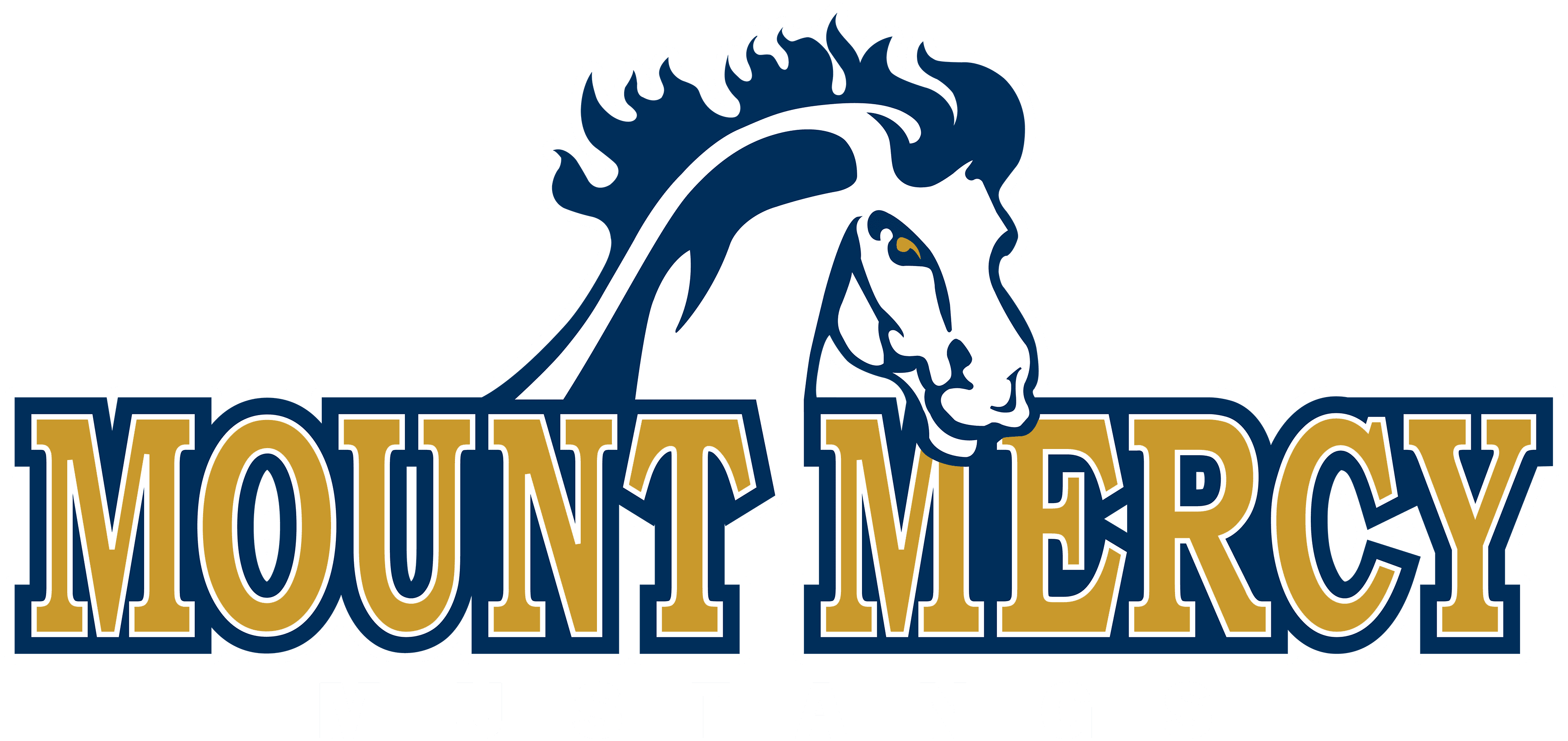 Mount Mercy University